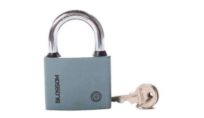 Blossom tabalukk BC2963, hall