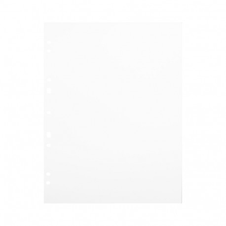 Focus Carton Refillsheets for Ringbinder A4 White 30-pack