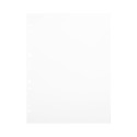 Focus Carton Refillsheets for Ringbinder A4 White 30-pack