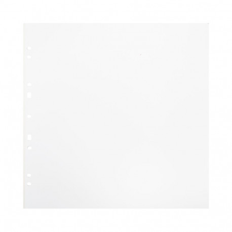 Focus Carton Refillsheets for Ringbinder Gigant White 10-pack