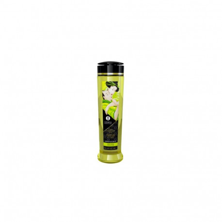 SHUNGA 697309012188 massage cream &amp; oil Massage oil 240 ml