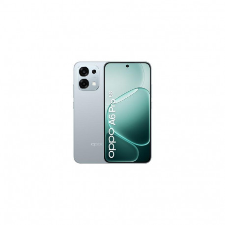 OPPO A6 Pro 5G, 16.7 cm (6.57&amp;quot;), 8 GB, 256 GB, 50 MP, Android 15, Titanium