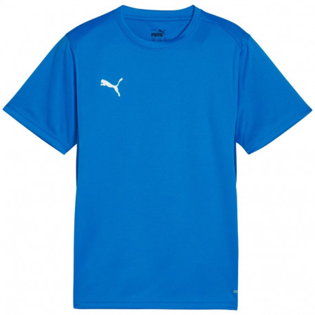 Puma laste särk TeamGoal Jersey 658637 02 128cm, sinine