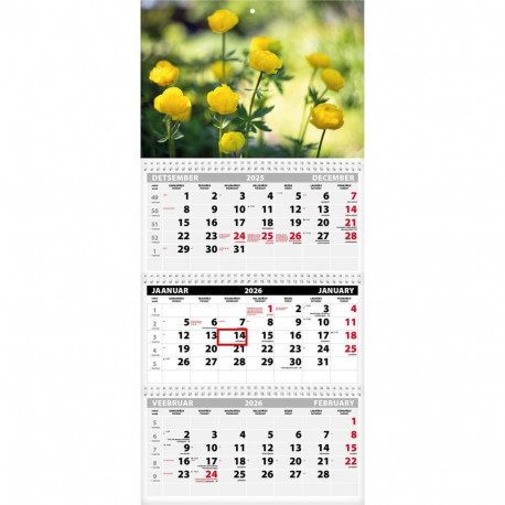 Wall calendar TRIO EXTRA, open size 297x640mm (PICTURE no. 8) 00319/40512