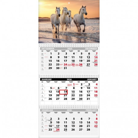 Seinakalender TRIO EXTRA, avatud mõõt 297x640mm (PILT nr. 12) 00319/40516