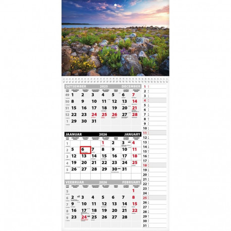 Seinakalender TRIO MEMO, avatud mõõt 297x630mm (PILT nr. 9) 00372/40321