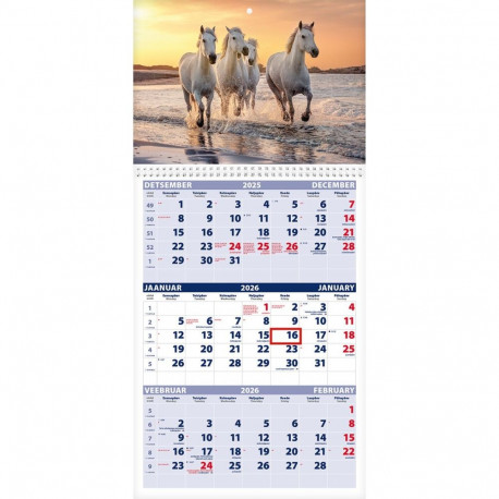 Seinakalender TRIO, avatud mõõt 297x630mm (PILT nr. 12) 00321/40230
