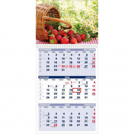 Seinakalender TRIO, avatud mõõt 297x630mm (PILT nr. 10) 00321/40228
