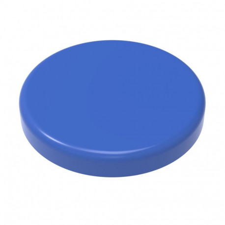 Magnet blue - 24 mm, holding power 3N, height 7 mm, 6 magnets per blister card