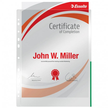 Pocket Coloured Edge 105my A4 CL Gre100