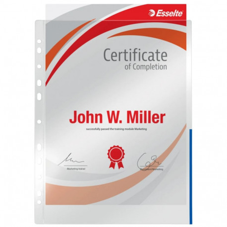 Signaaltasku köidetav A4 ESSELTE 105mic sinine 100tk