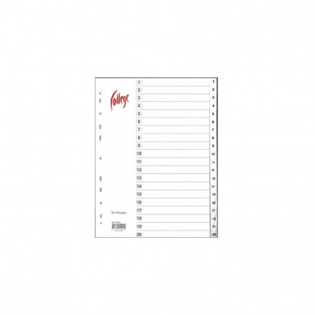 Register interleaved A4 1-20 valge plast