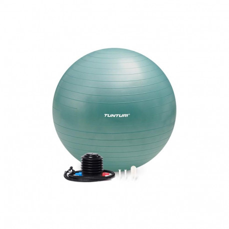 Tunturi Gymball 65cm, bensiin, Anti Burst