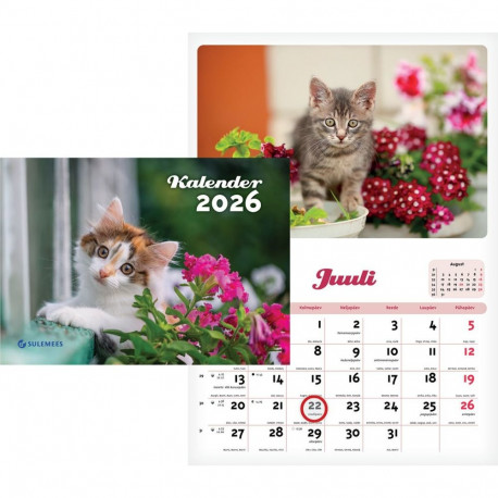 Seinakalender Kiisukalender 240*165mm, klamberköide 2026a.