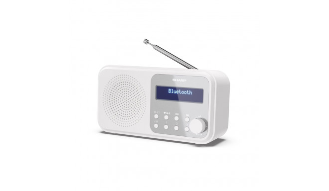 Sharp DR-P420(WH) Tokyo kaasaskantav digitaalne raadio, FM/DAB/DAB+, Bluetooth 5.0, USB või patareit