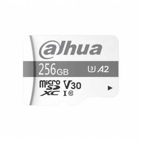 mälukaart 256GB DAHUA TF-P100/256G