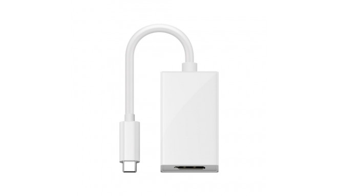 Goobay USB-C - DisplayPort adapter, 0.2 m, valge