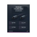 Clicktronic Toslink kaabel 2 m