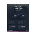 Clicktronic Toslink Cable 1 m