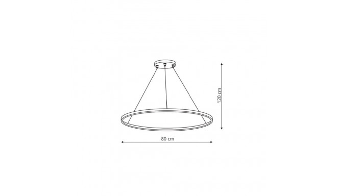 LAMP PENDANT RING 48W