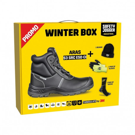 ARAS WINTER BOX koos tasuta vidinatega 42