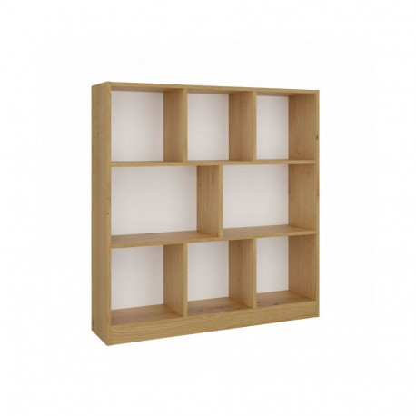 Fiesta 8P Artisan raamaturiiul