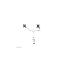 Neomounts DS60-425WH2 Monitor arm 17-27" - space saving