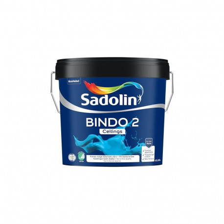 PAINT BINDO 2 BW 4,5 l värv