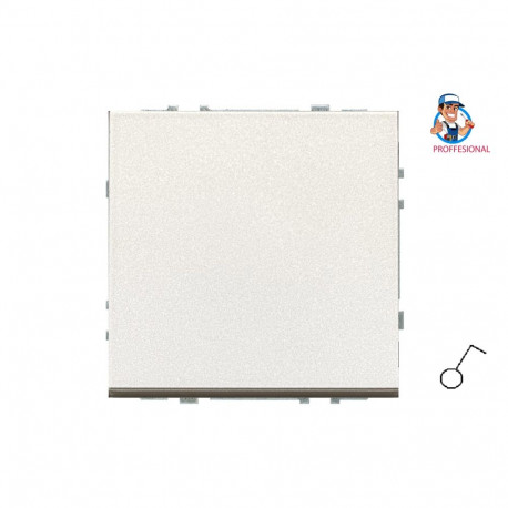 SWITCH IJ1.10-203-01.M/CH MODERN CH