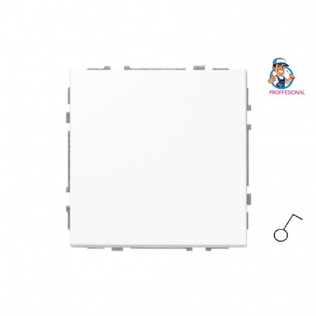 SWITCH IJ1.10-203-01.M/WM modern valge