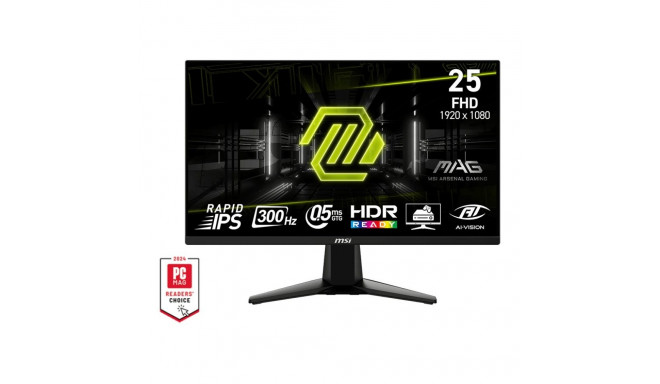 MSI MAG 255XF monitor