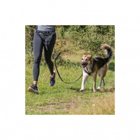 "trixie jooksuvöö rihmaga, 70-130 cm|9 cm, rihm: 1,20-1,50 m|25 mm, vööümbermõõt: 75-120 cm"