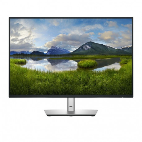 Dell arvutimonitor Pro Plus P2425 61.1cm (24.1") 1920 x 1200 pixels WUXGA LCD, must