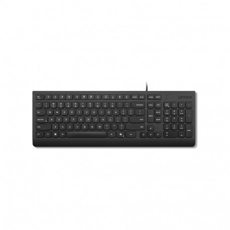 Lenovo klaviatuur Essential USB QWERTY rootsi/soome pruun karp, must