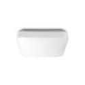 laevalgusti mauve 3111031P0 17W LED