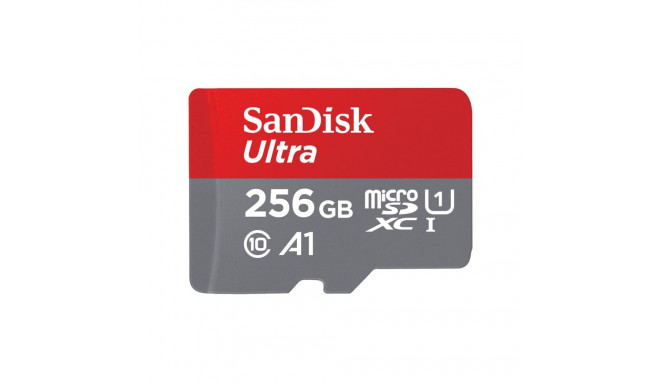 MEMORY MICRO SDXC 256GB UHS-I/SDSQUNR-256G-GN6TA SANDISK