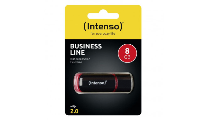 Intenso flash drive 8GB USB 2.0 (3511460)