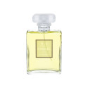 Chanel No. 19 Poudre Eau de Parfum (100ml)