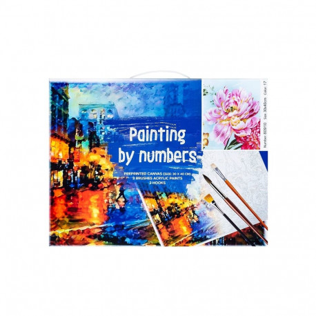 TOY PAINTING BY NUMBERS 30X40 80910