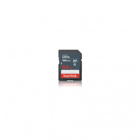MEMORY SDXC 64GB UHS-I/SDSDUNR-064G-GN3IN SANDISK