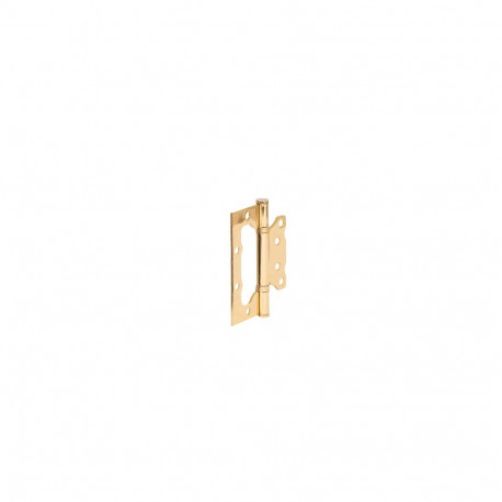 HINGE DOOR 100X75X2.5MM BRASS PLATED