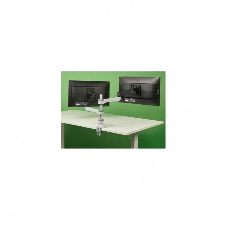 R-Go Tools Monitor arm R-Go Zepher Dual, for two monitors, fully adjustable, 0- 8 kg load capacity, 
