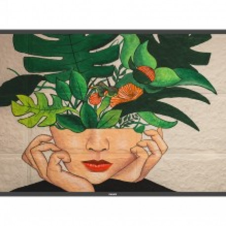 PHILIPS 43BDL4511D 43" UHD 500 NITS 24/7 LAN