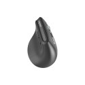 EV310M.Dark Grey MM Wireless Ergonomic Mouse