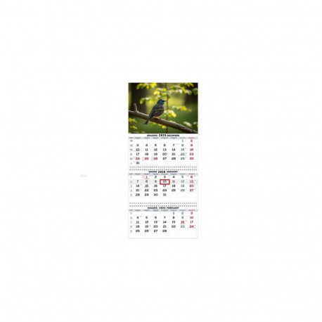 Wall Mounted Calendar 3 parts Trio 30x66cm.