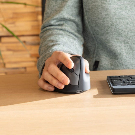 R-Go Mouse HE ergonoomiline paremakäeline Bluetooth must/hõbedane jaemüük