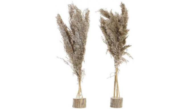 DKD Home Decor kunstlill 35x25x55cm