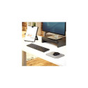 MOUSE PAD MICROBAN/SILVER 5934005 FELLOWES