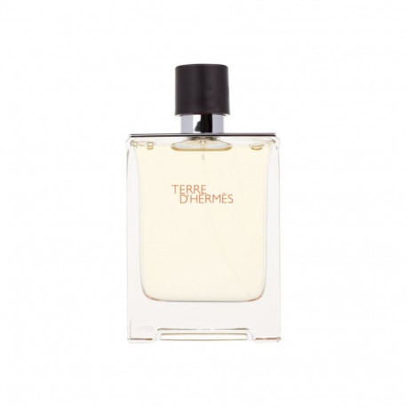 Hermes Terre d'Hermes Eau de Toilette (100ml)