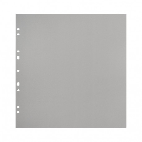 Focus Carton Refillsheets for Ringbinder Gigant Grey 10-pack